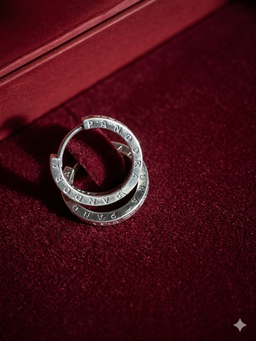 Silver Hoops