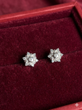 Silver Earstuds
