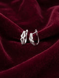 Silver Hoops