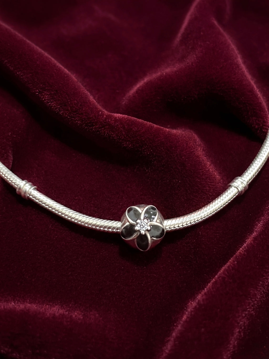 Pandora Charm