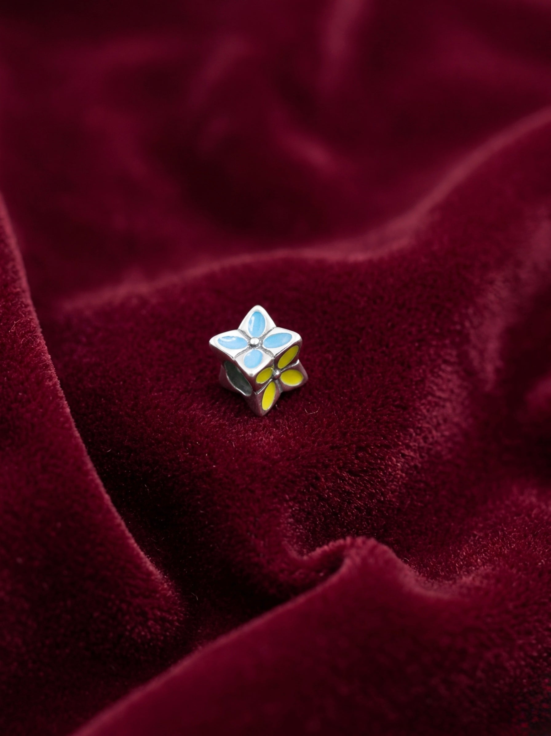 Pandora Charm
