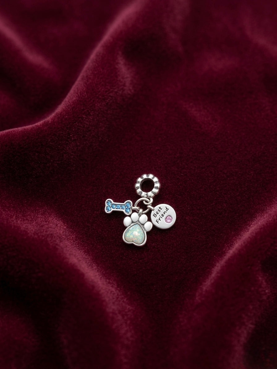 Pandora Charm